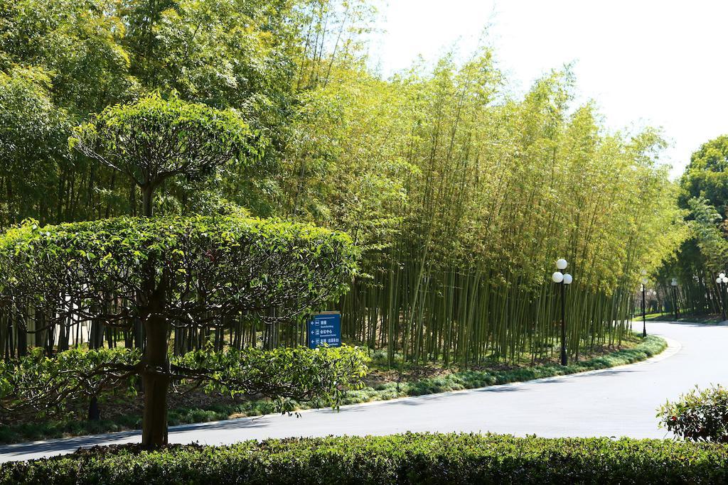 Hotel Dongjiao State Guest